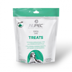 Nupec treats Dental Care